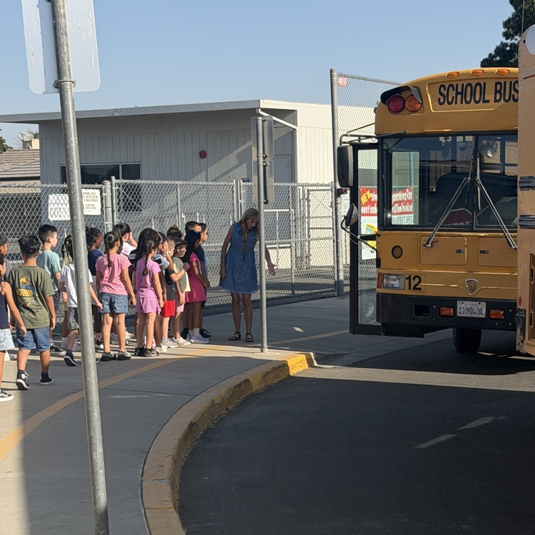 Class waiting patiently for their turn on the bus