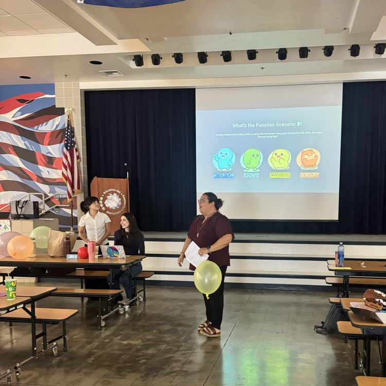 presenters providing professional development