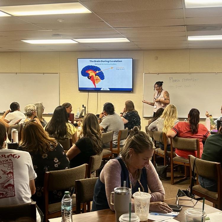 staff attending professional development