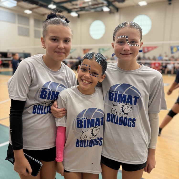 Bimat volleyball players