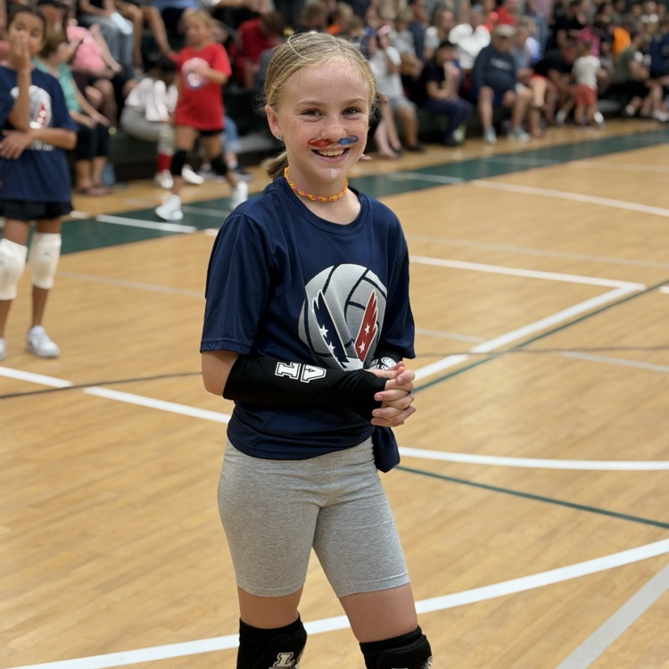 veterans volleyball player