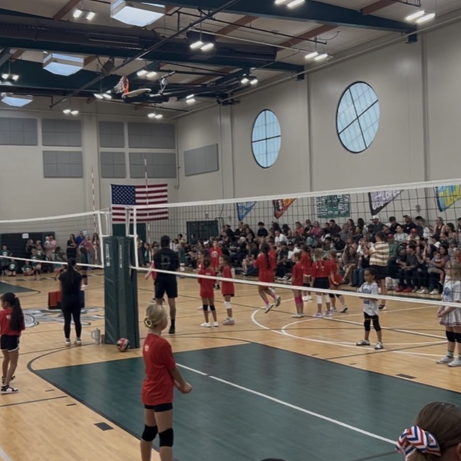 volleyball games