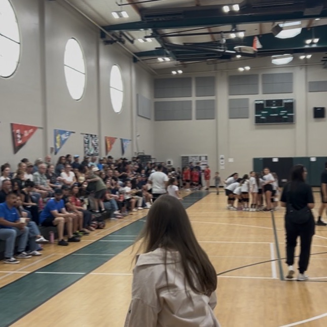 busy volleyball gym