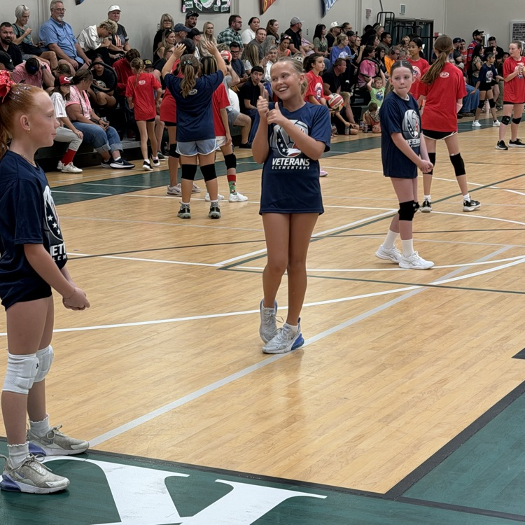 volleyball players