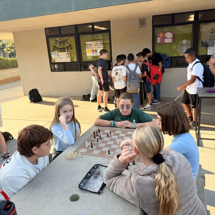 Students playing chess