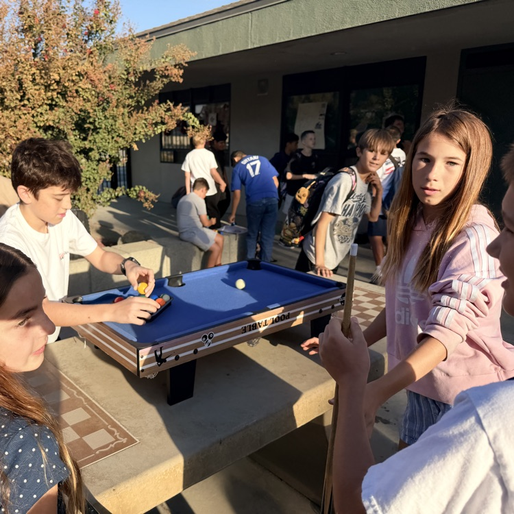 Students playing games