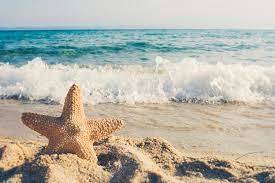 Summer