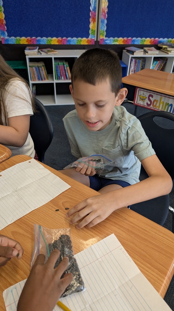 A student counting watermelon seeds. 