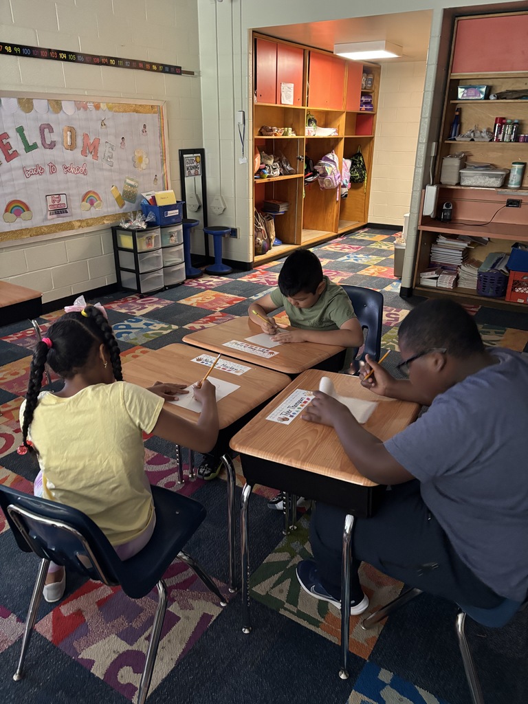 A group of students working