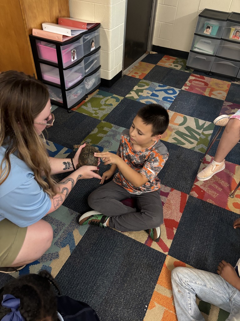 A student touching a turtle
