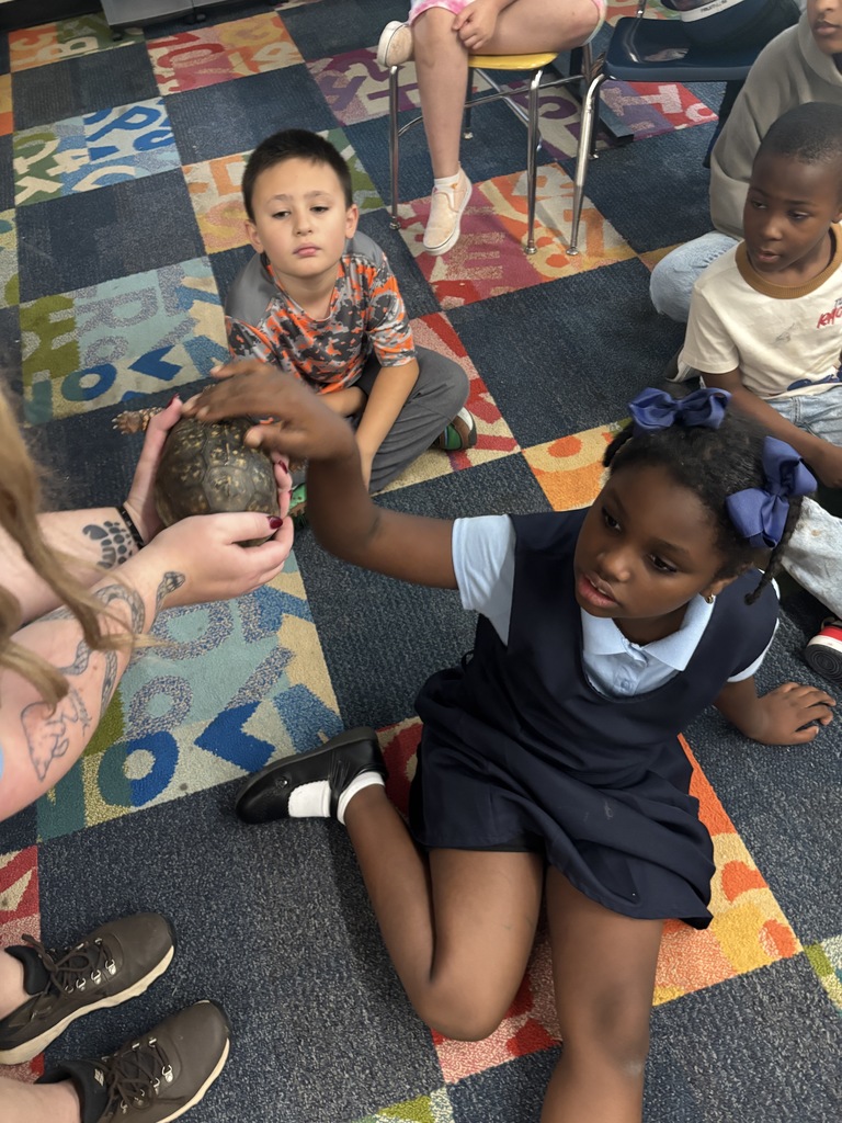A student touching a turtle