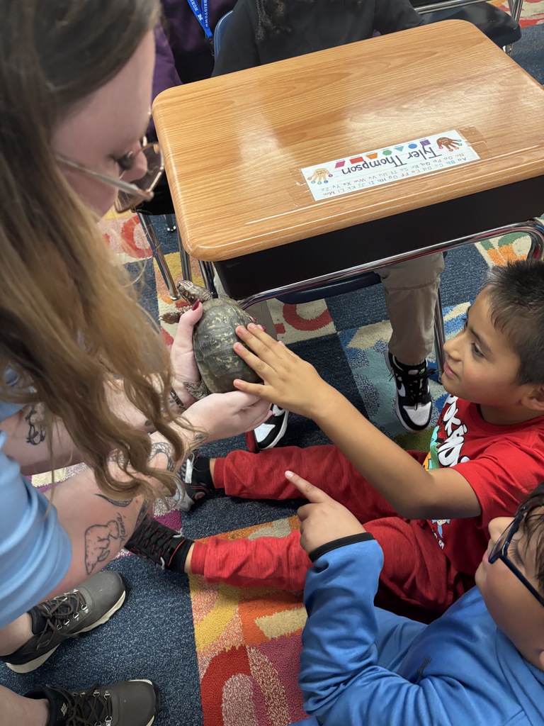 A student touching a turtle