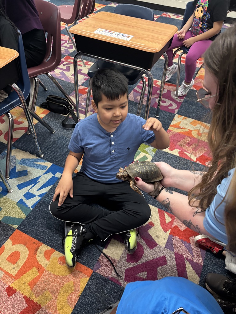 A student touching a turtle