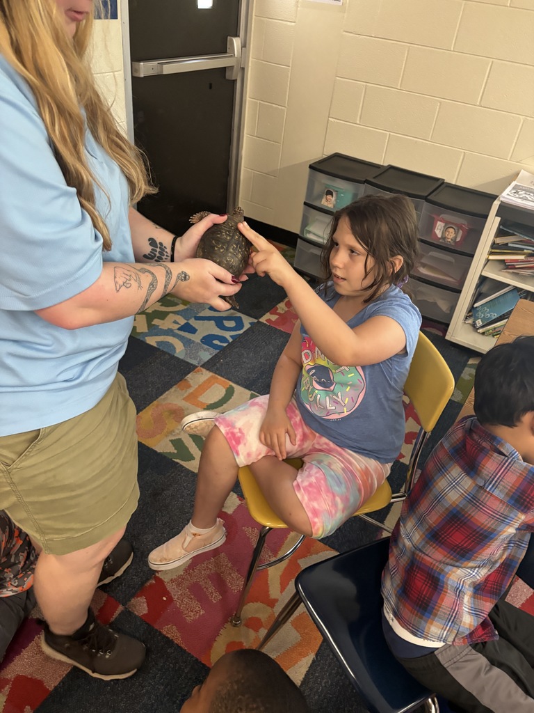 A student touching a turtle