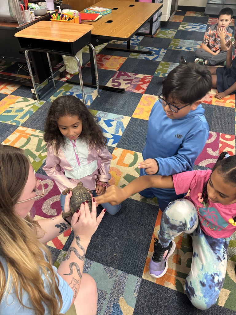 A group of students learning about turtles