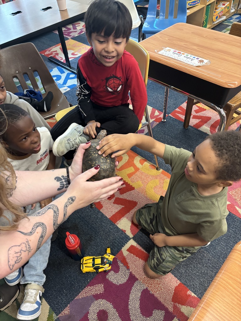 A group of students touching a turtle