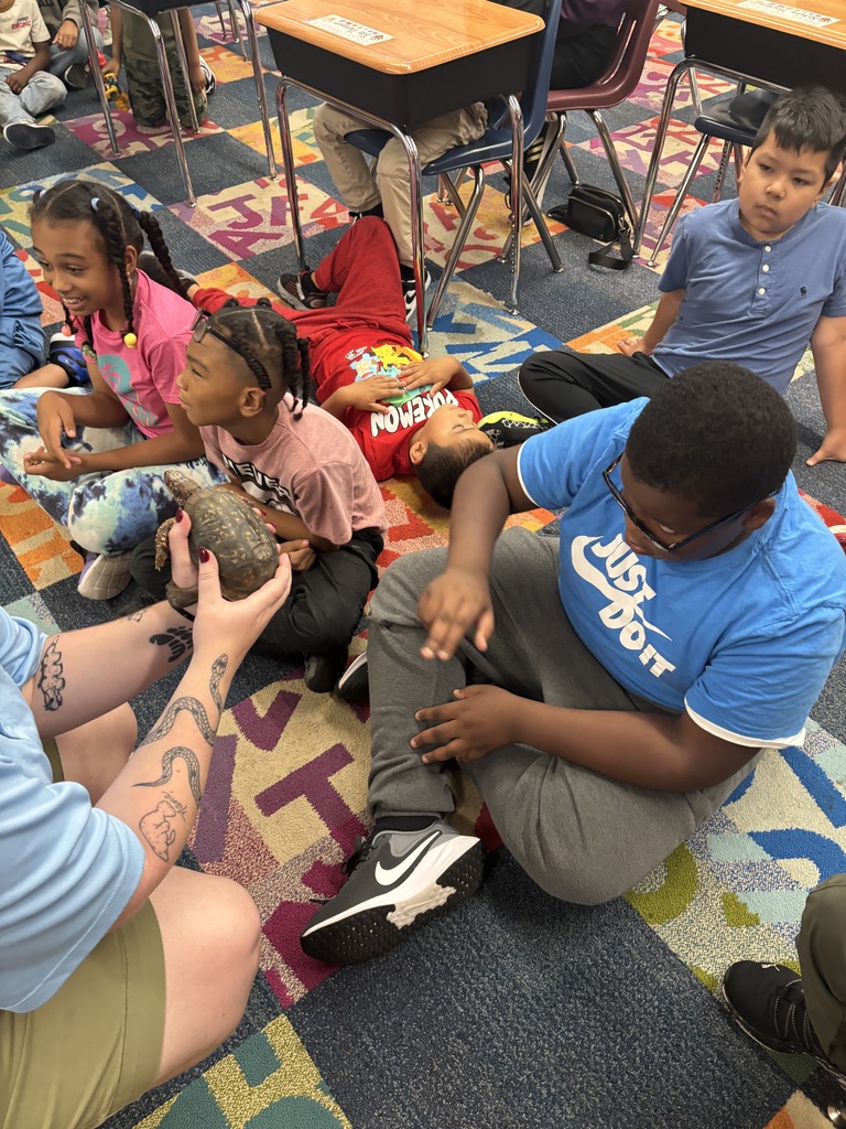 A group of students learning about turtles