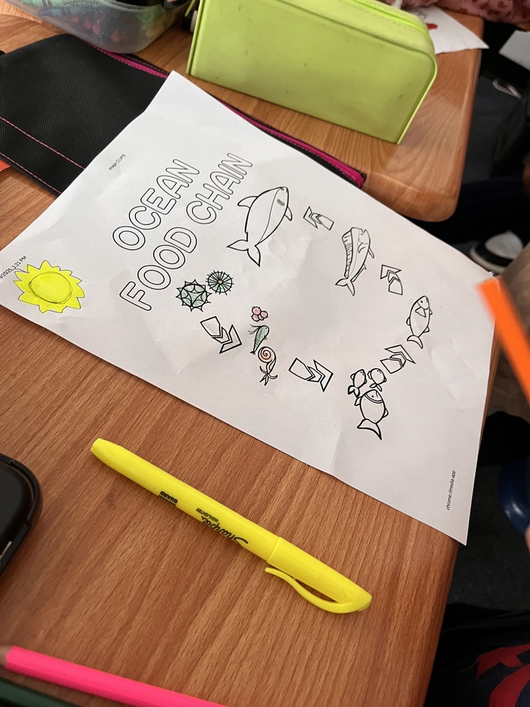 A coloring page of the ocean food chain