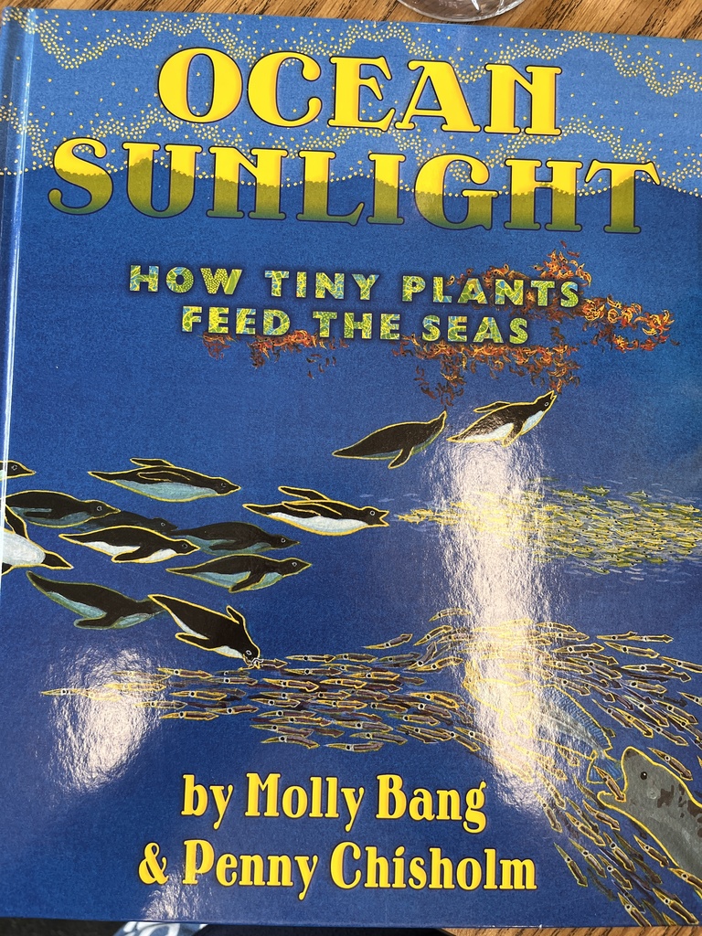 The book titled Ocean Sunlight