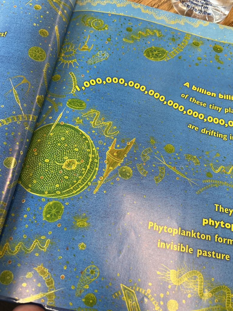 A page from inside of a book