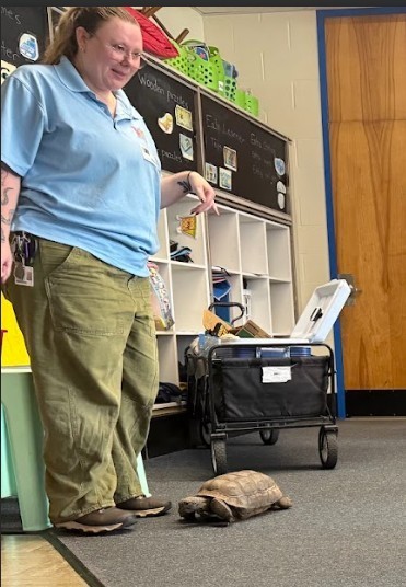 Zoo on Wheels shows Sandy the tortoise to the class.