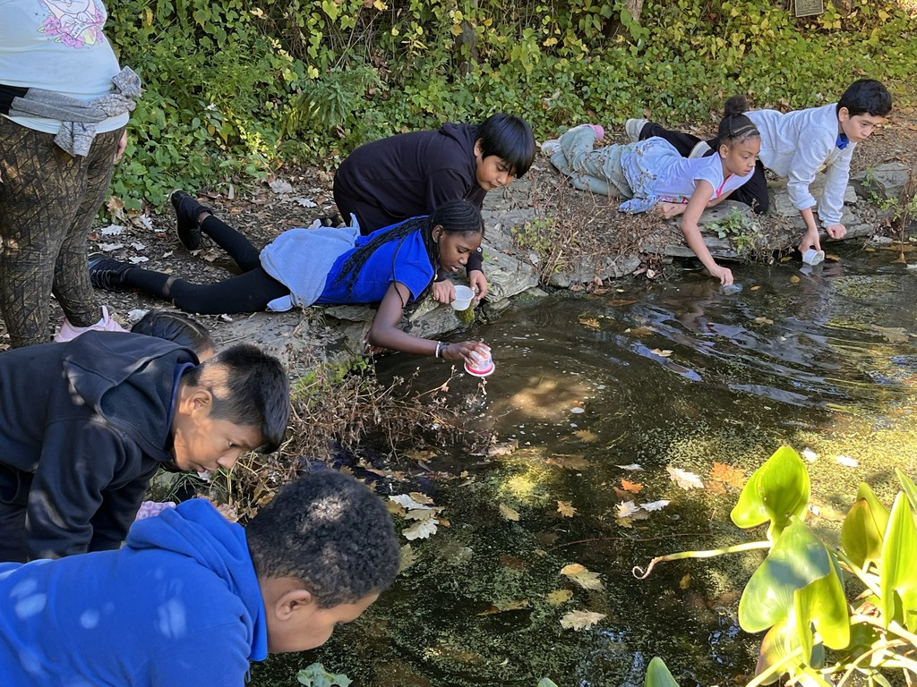 Grade 4 students to Riverbend