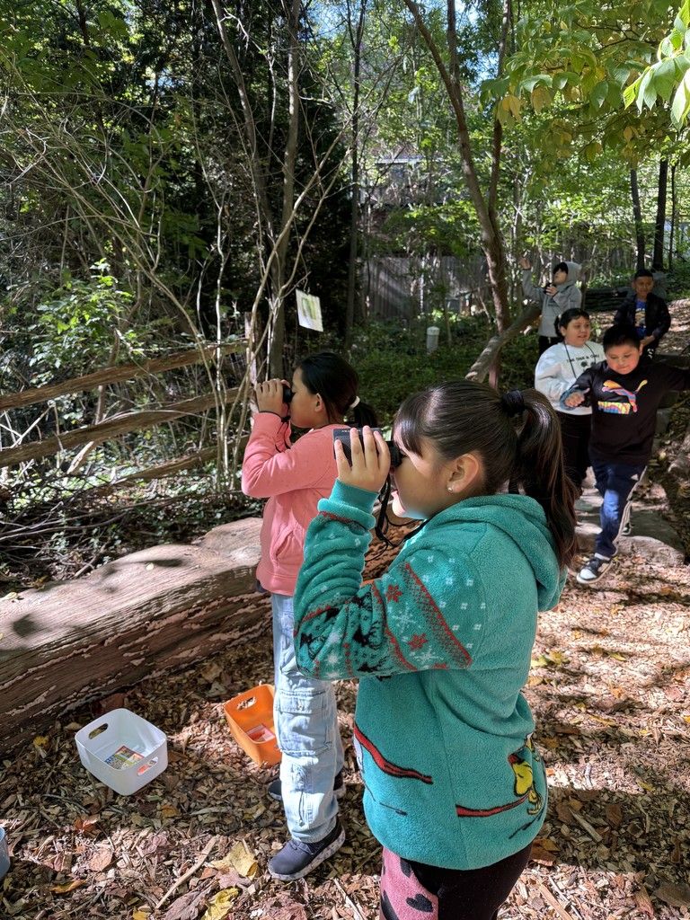 Grade 4 students to Riverbend
