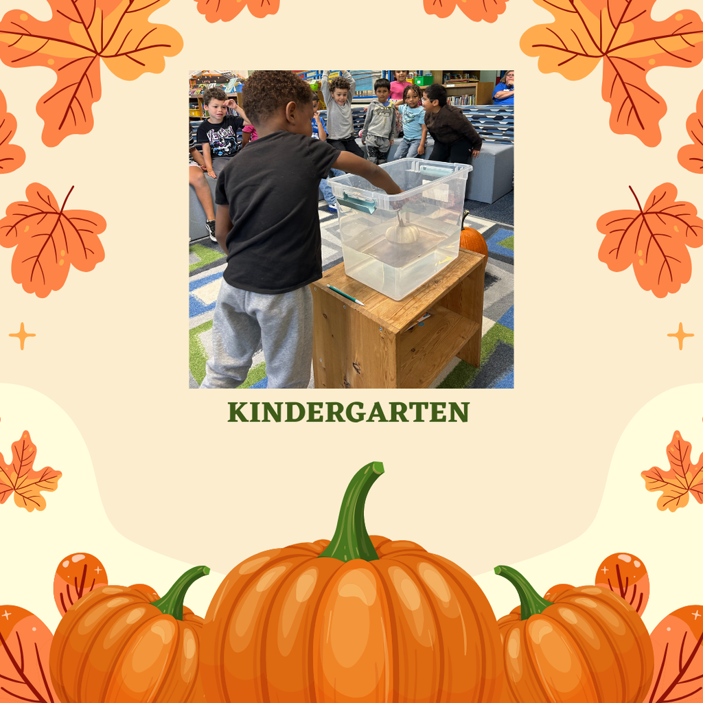 A Kindergarten student testing if a pumpkin will float or sink.