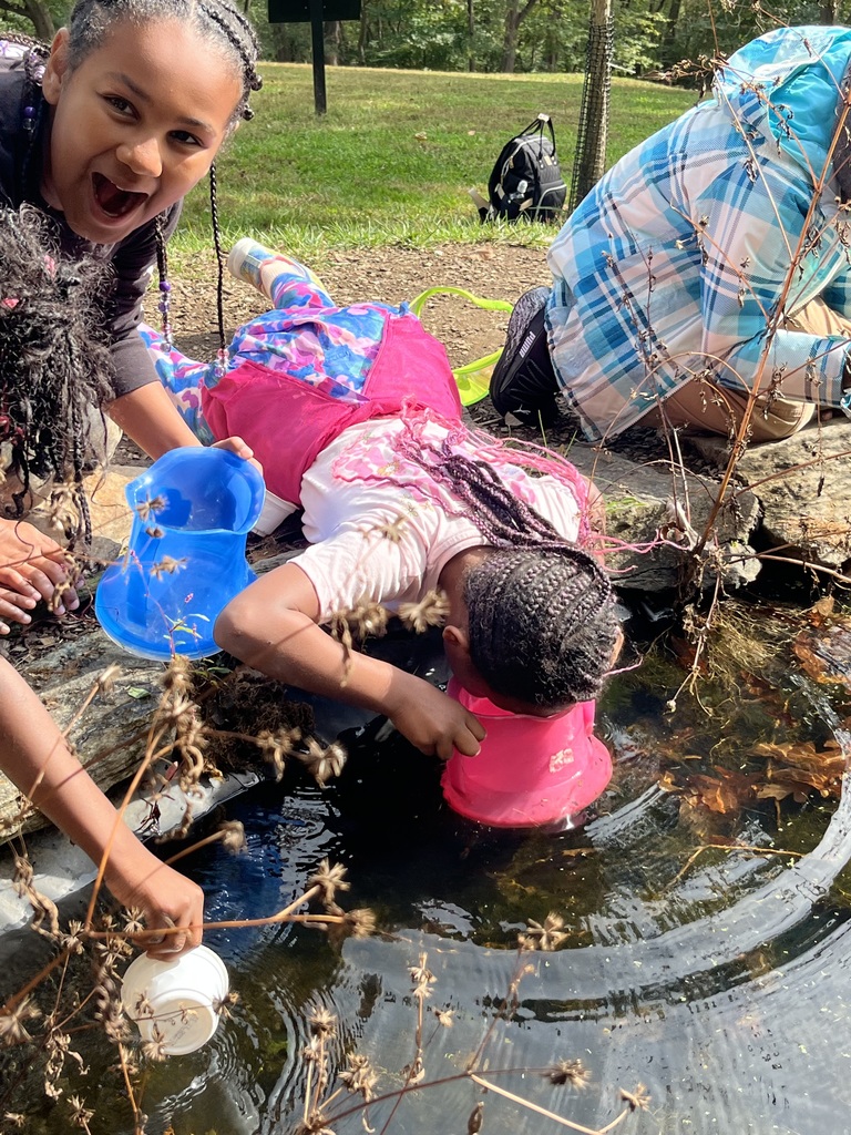 Fourth graders explore the pond at Riverbend.