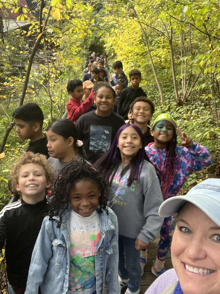 Fourth graders explore the forest at Riverbend.