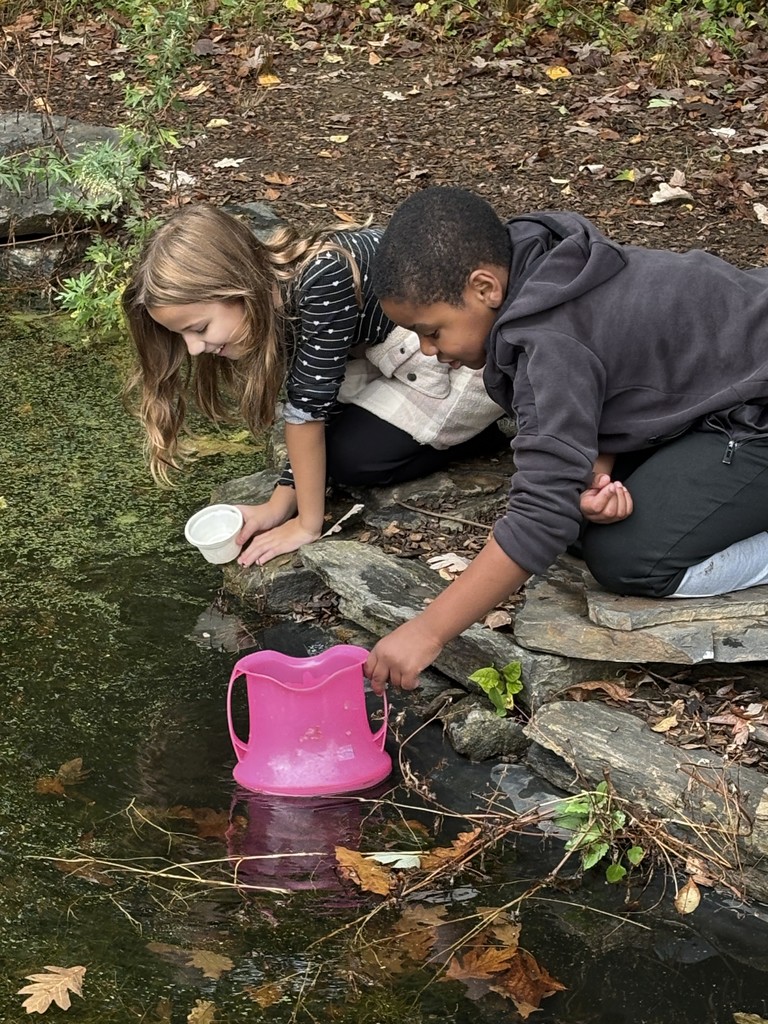 Fourth graders explore the pond at Riverbend.