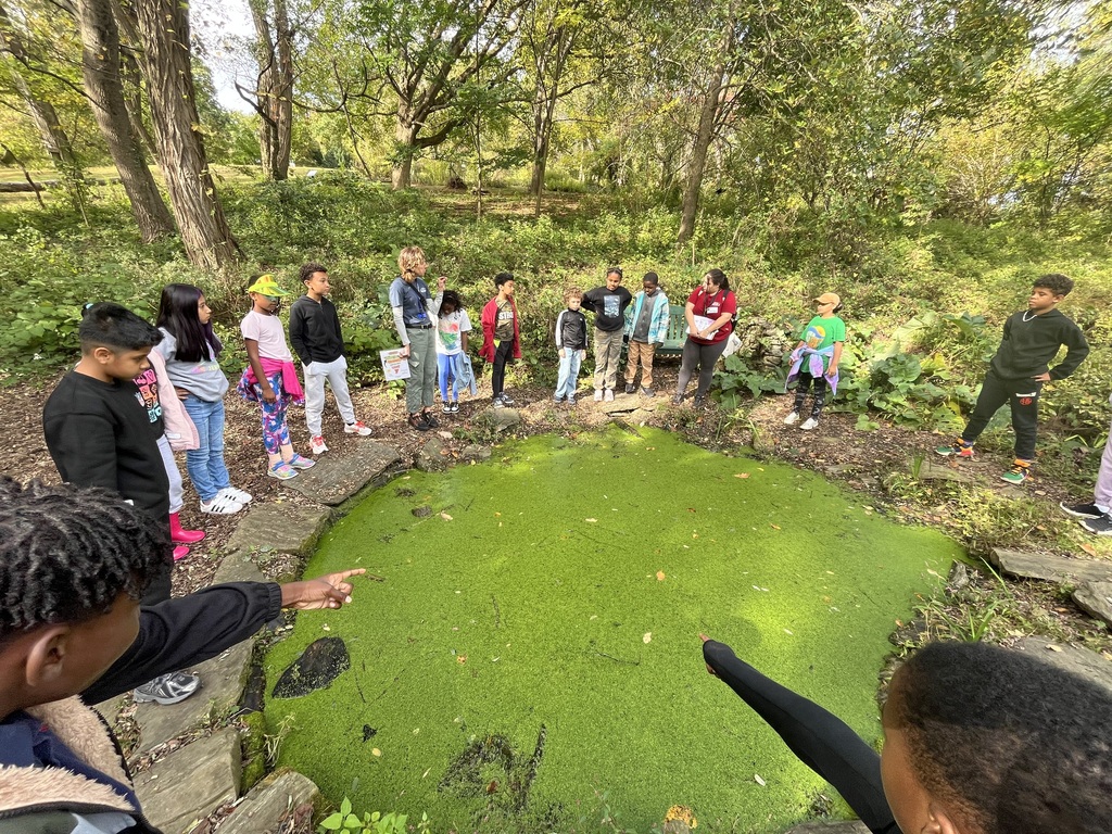 Fourth graders explore the pond at Riverbend.