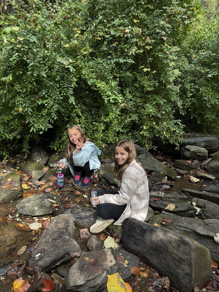 Fourth graders explore the stream at Riverbend.