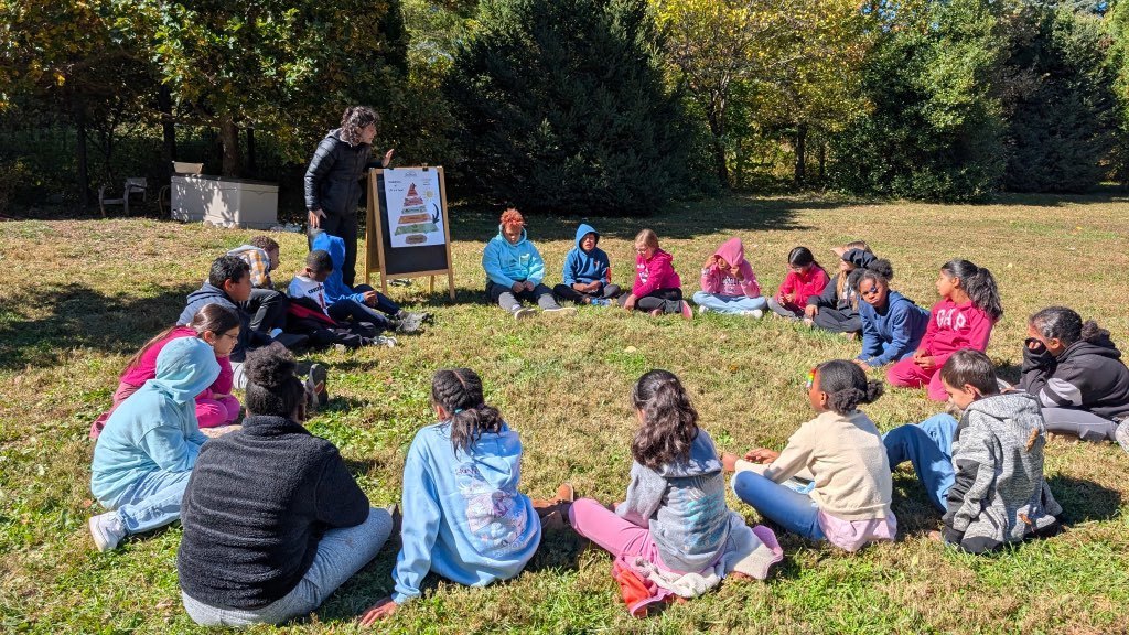 Students learning about ecosystems