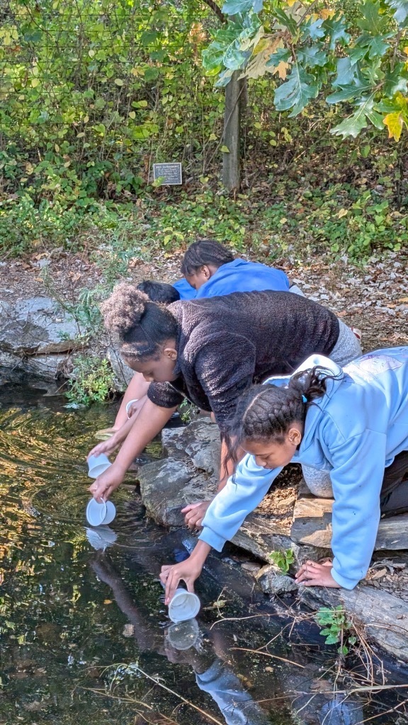 Students getting water out of the pond. 