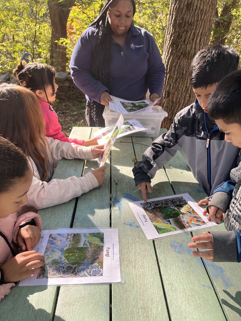 Students looking at fungi