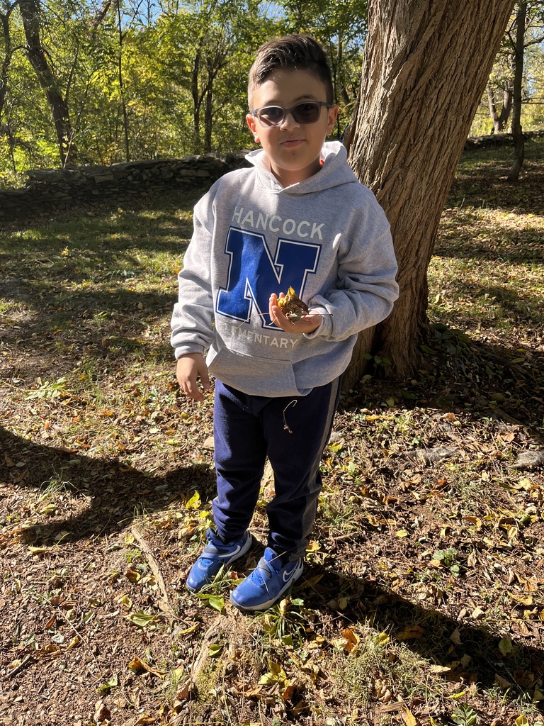 A student collecting leaves