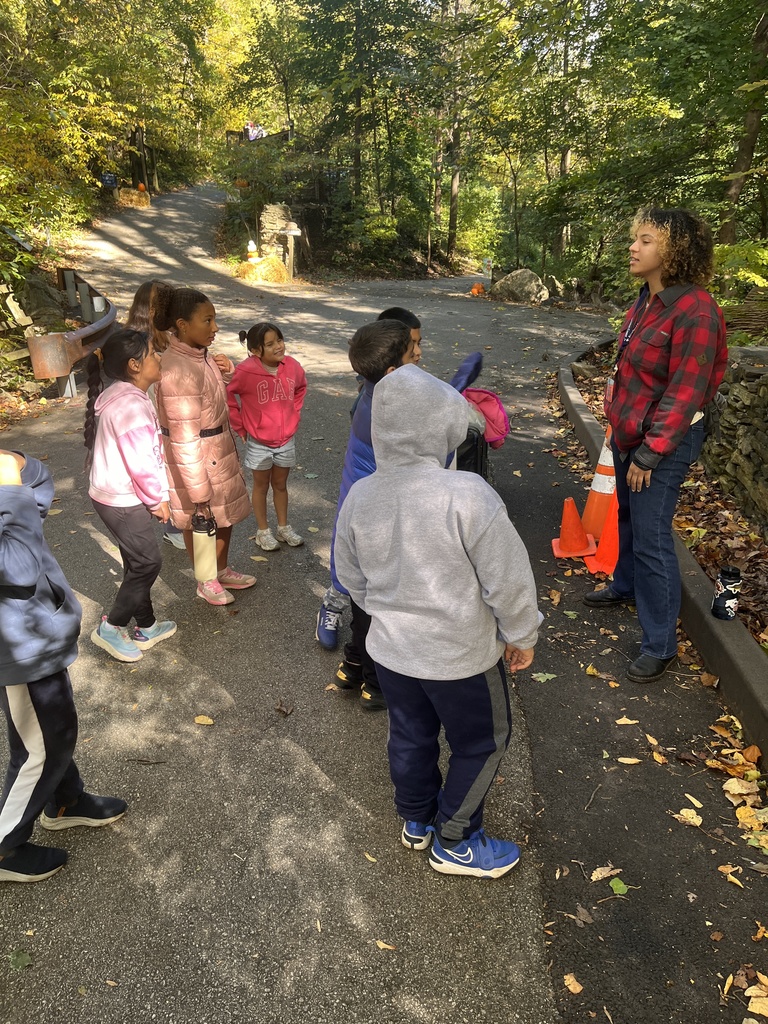 Students listening to their guide