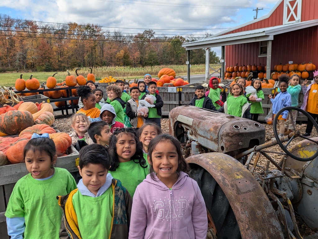 Kindergarteners explore the pumpkins Kohler Farms.