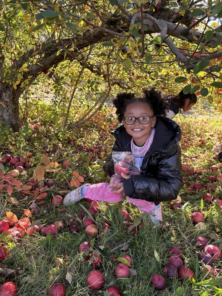 A student picks an apple from a tree in the orchard.