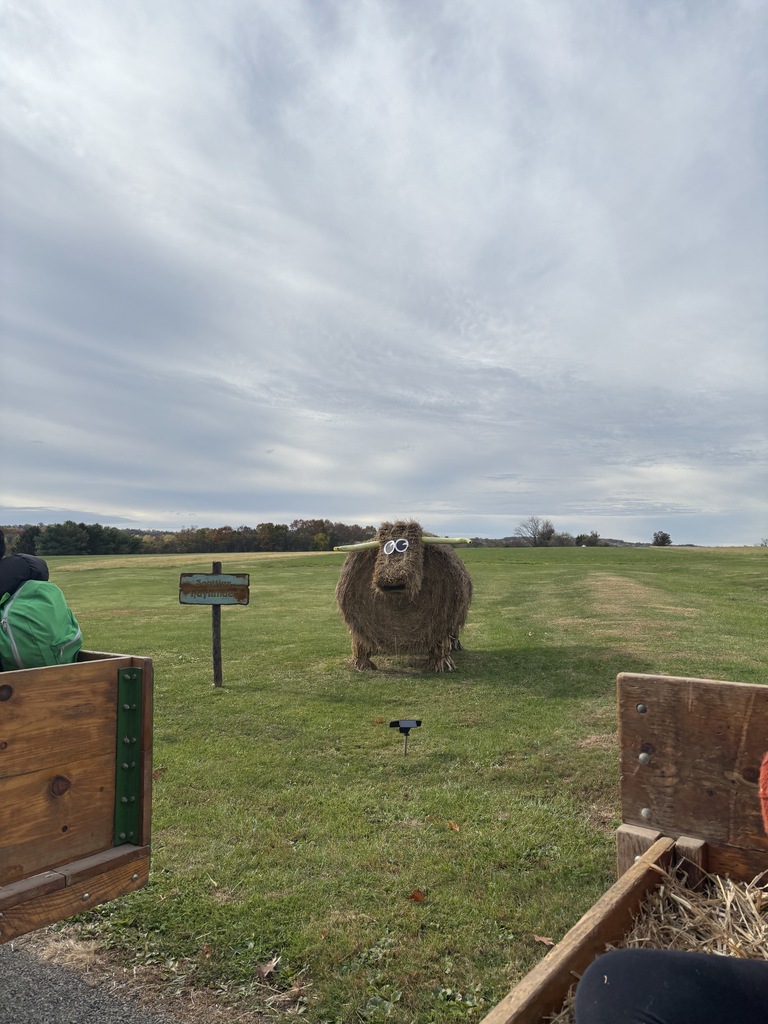 A cow made out of hay