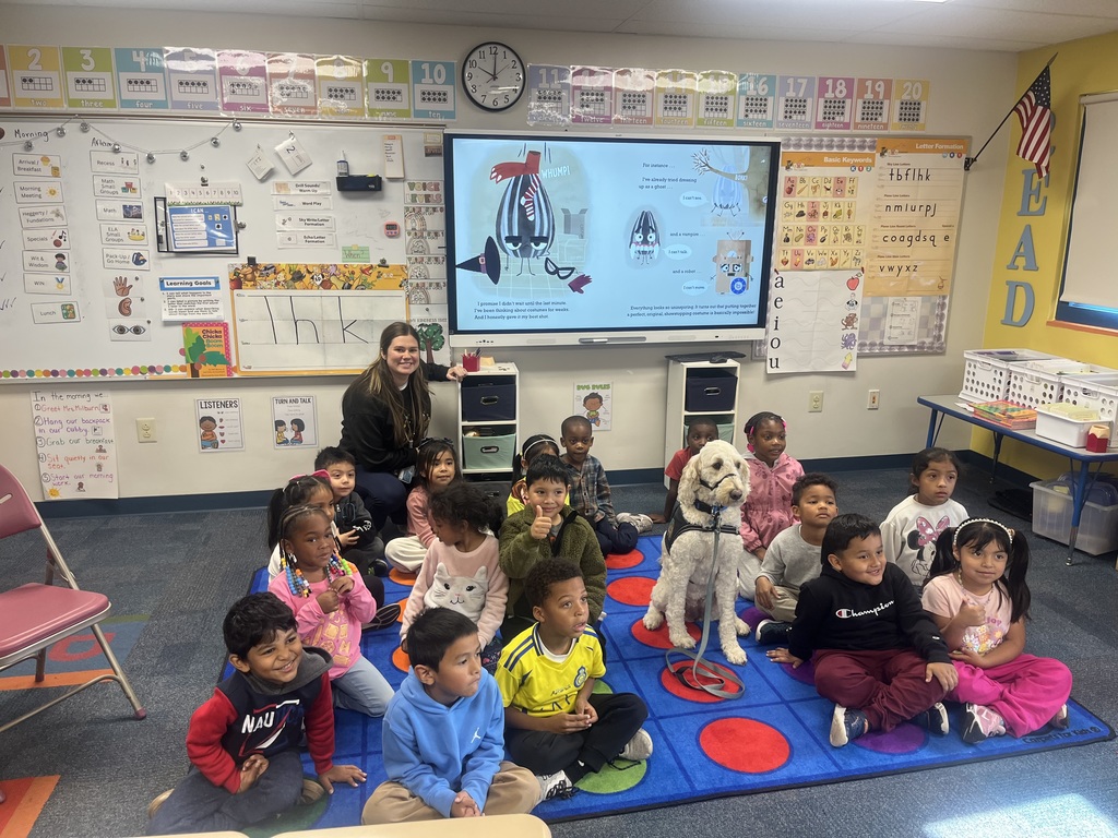 Classroom with service dog
