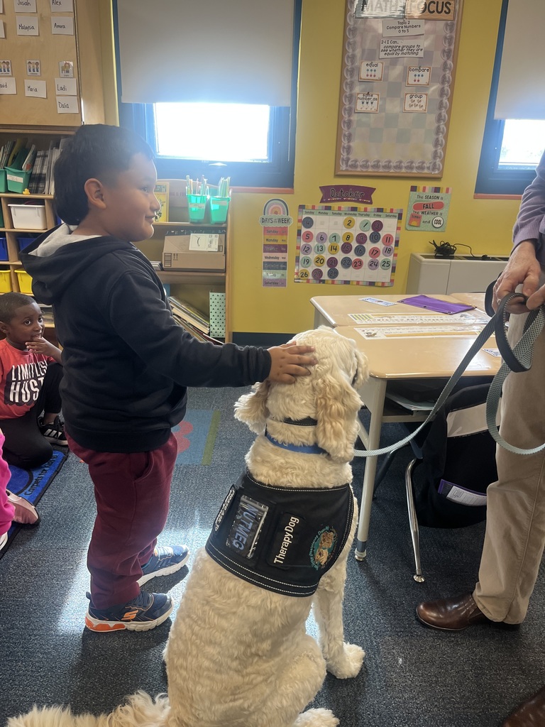 Student petting service dog