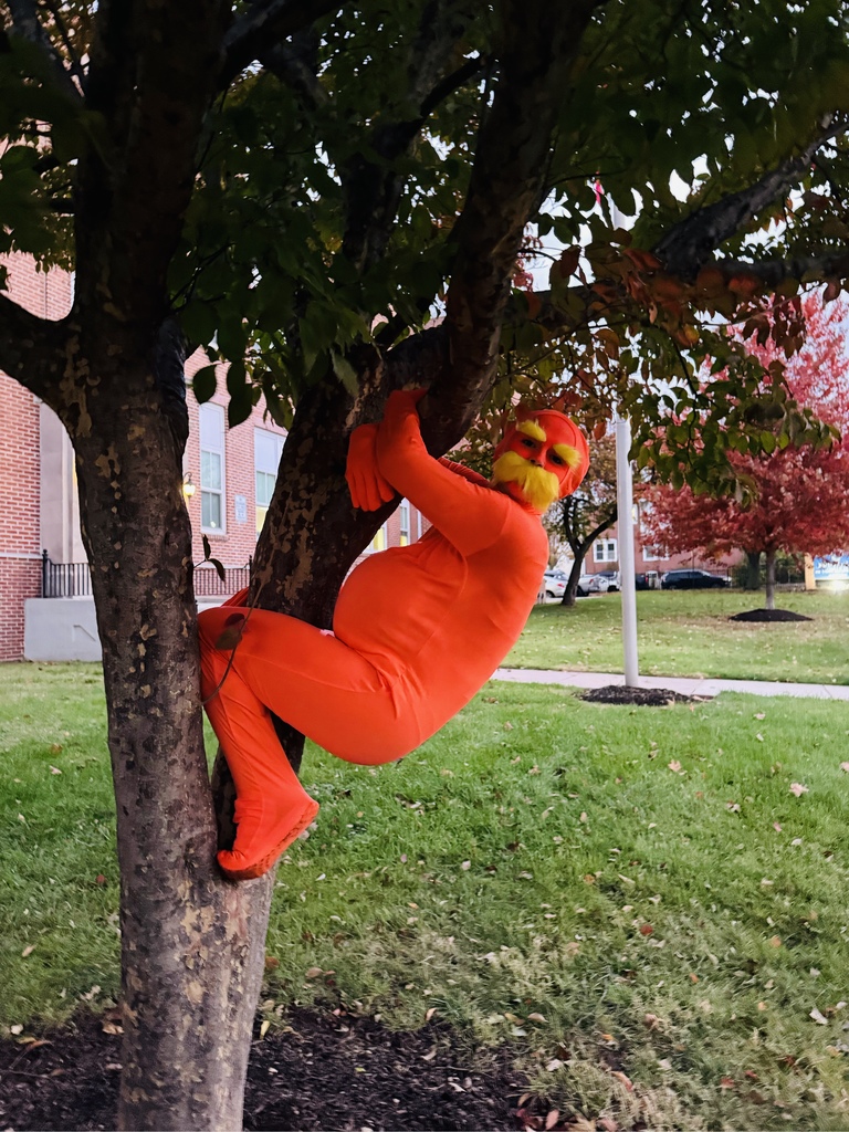 A teacher in a Lorax costume is posing by hanging from a tree.