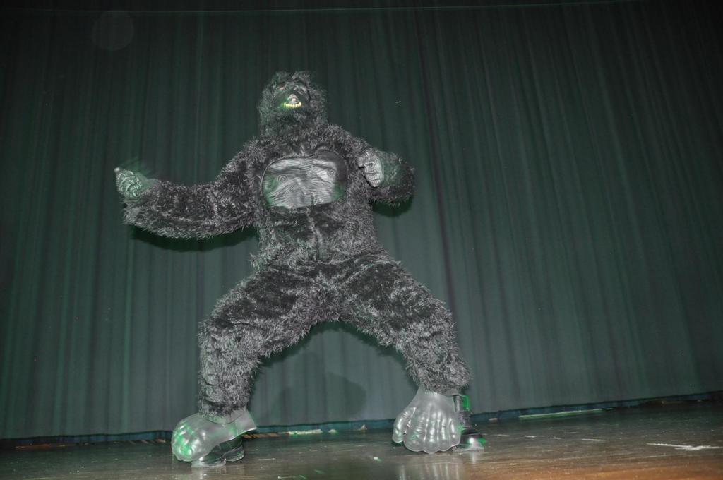  5th annual Wingspan Costume Contes