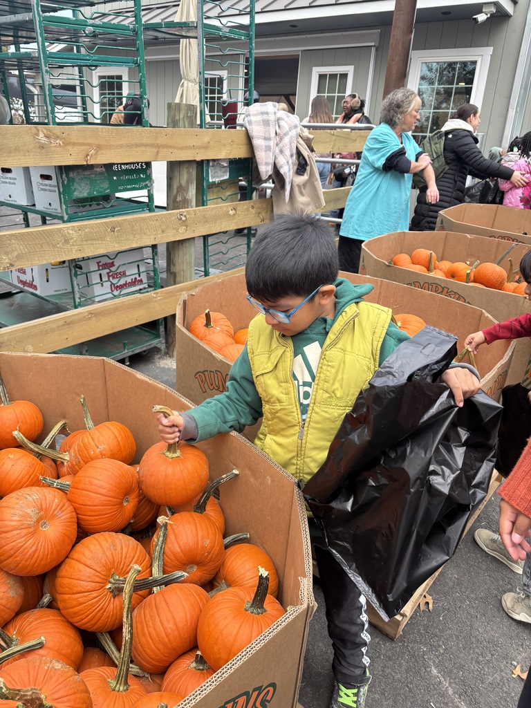 A student picking a pumpkin
