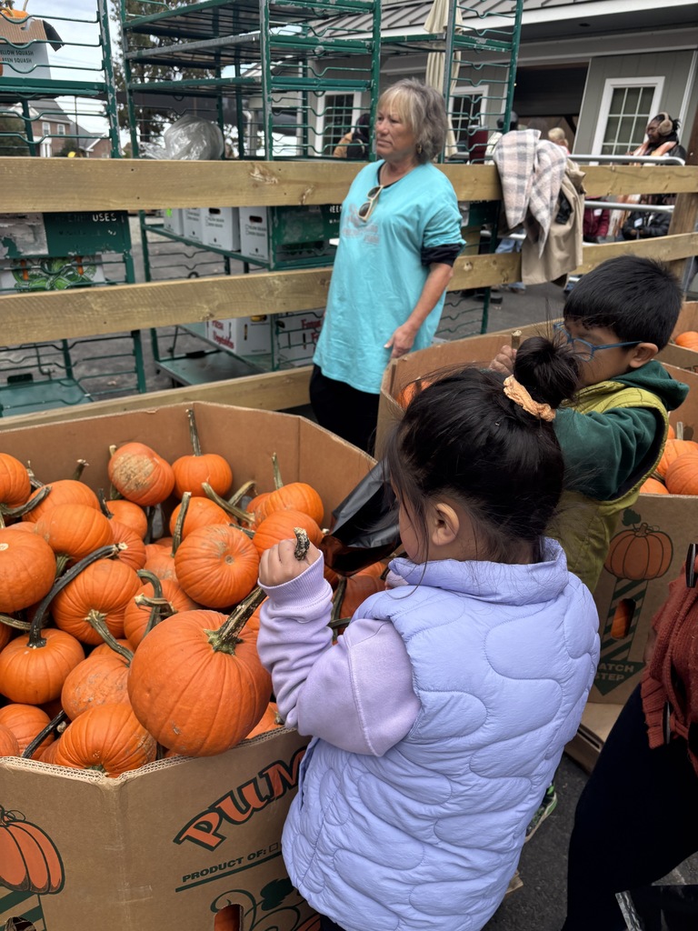 Students picking pumpkins