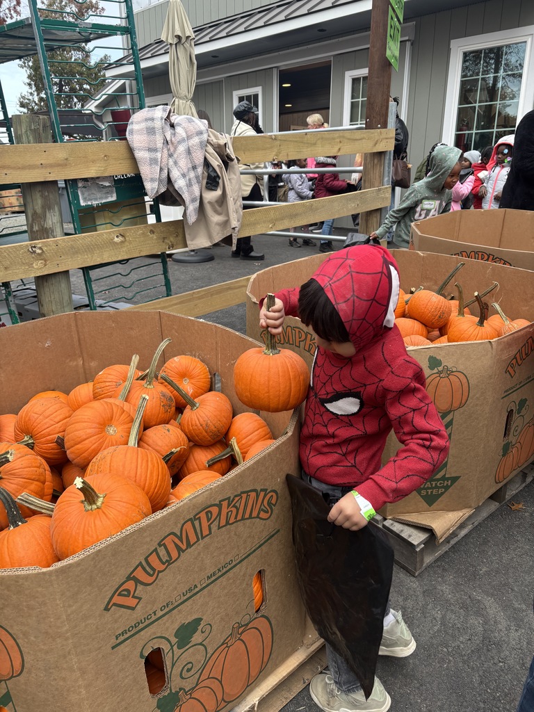 A student picking a pumpkin