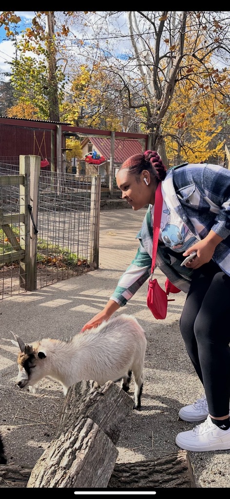 A student is petting a goat at the zoo