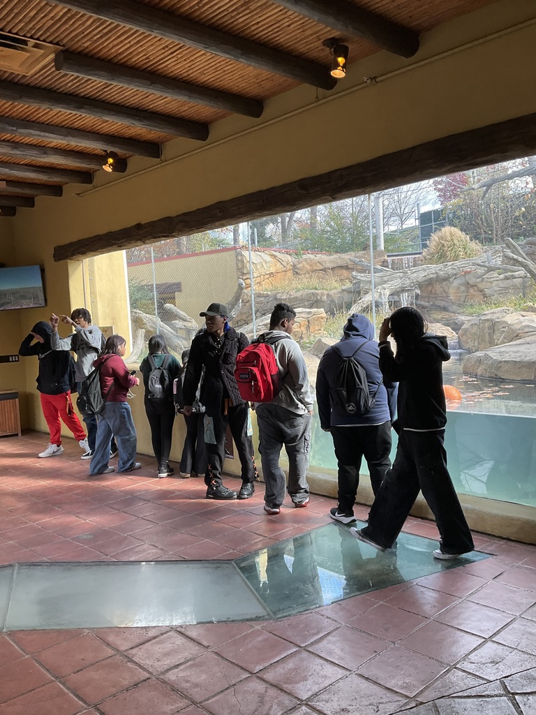 A group of students are looking in an animal enclosure